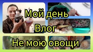 Влог мой день