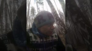 Видео про курс Ракета и коронавирус, и сбор березового сока. Апрель 2020г.