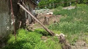 21-23 июня 2025г.Три дня косила.