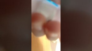 влог сквиш собачек 💓первое видео 😲😚