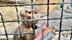 Мы отправились ПОДДЕРЖАТЬ Люсю в ее противостоянии с Лидой! Люся молодец, такая ловкая))