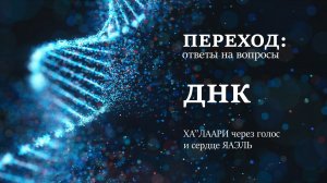 Переход. Ответы на вопросы | ДНК