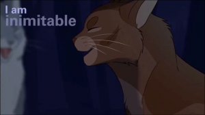 Коты воители желудь мап