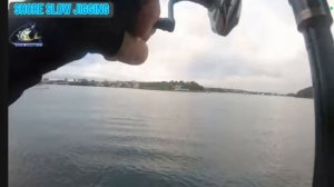 Материал 3️⃣. Shoreslow. Морская береговая рыбалка. Техника ловли в медленном стиле пилкерами 🎣🐟