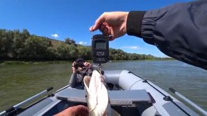 ЗАКИНУЛ ПРИМАНКУ В ХИЩНЫЕ КОРЯГИ, А ТАМ ЩУКА И СУДАК! Рыбалка в новом красивом месте на спиннинг.