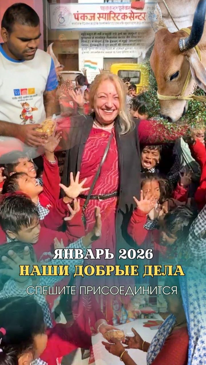 НАШИ ДОБРЫЕ ДЕЛА | ЯНВАРЬ 2026 смотреть онлайн