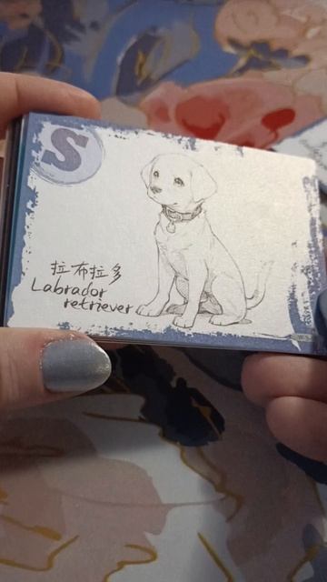 собачки смотреть онлайн