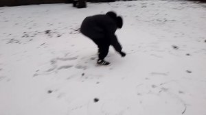 слепил снеговика, максим