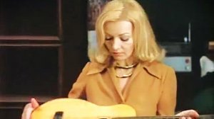 Ирония судьбы (фрагмент 14 )