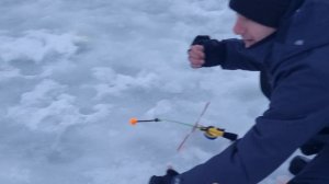 сёмкина 2 в комаровке