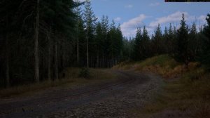 Assetto Corsa Rally  Так ездить нельзя