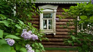 Евгений Росс Не продавайте родительский дом