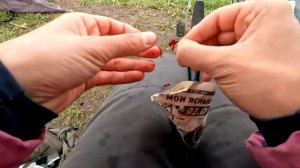 Девчонки на рыбалке одни на берегу! Спугнули браконьеров😱 и ловим на фидер.