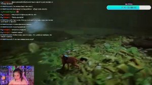 Stray - котик-путешественник