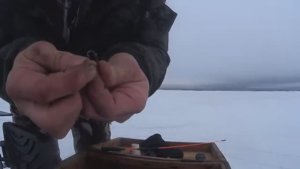 На Что Ловить Корюшку? Поездка на Белое Море!