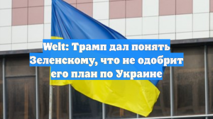 Welt: Трамп дал понять Зеленскому, что не одобрит его план по Украине