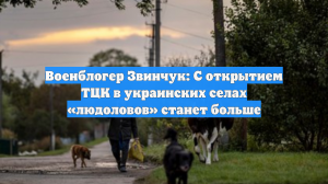Военблогер Звинчук: С открытием ТЦК в украинских селах «людоловов» станет больше