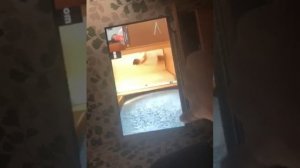 Попробуй не испугаться от скримера