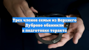 Трех членов семьи из Верхнего Дуброво обвинили в подготовке теракта