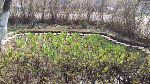 Один из дней города Евпатории | 1 апреля 2021 год  Крым  ХАН БАТОН XAH 6ATOH | VID_20210401_142828