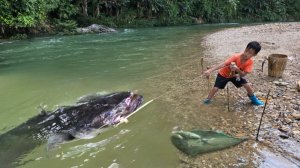 Он ловит сома на червя , как 1000 лет назад.