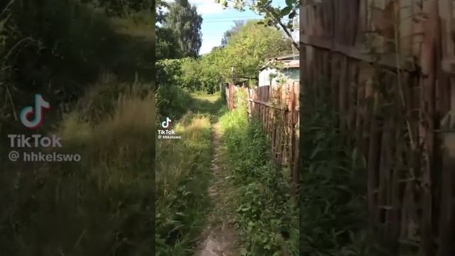 Вайбовые видео из тик тока 2021-2022 смотреть онлайн