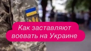 И снова о Буче и том, как обманывают украинцев. #новости #украина #россия