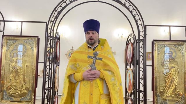 Проповедь в неделю 29-ю по Пятидесятнице .28.12.2025.Протоиерей Димитрий Нестеренко.