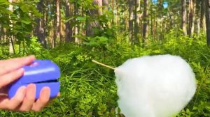 Настя и Ева заботятся о новых питомцах Битзи