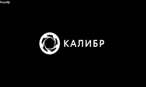 Калибр