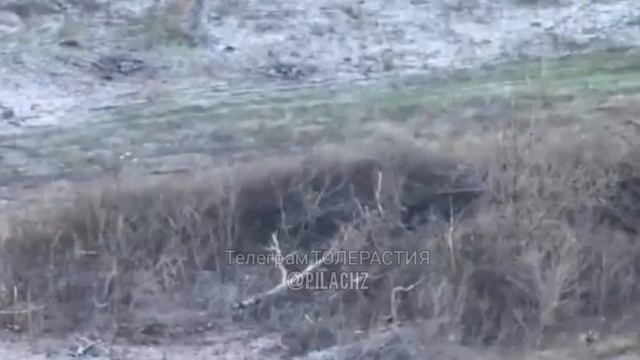 Русский боец забрасывает противотанковую мину в блиндаж xoxла