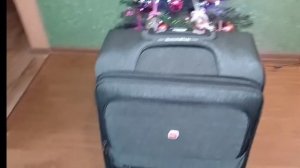 Дура вечная!