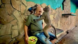 Мы пришли с Анфисой к Люсе и она включила ЯЖЕМАТЬ, даже есть не захотела и играть)))