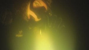 2025 год подводной охоты закрыт.