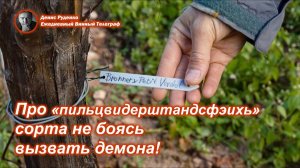 Про «пильцвидерштандсфэихь» сорта не боясь вызвать демона!