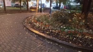 Дождливая осень 2025 (часть 2)