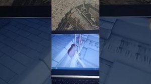 играю во все игры