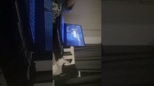 Ми самер кар