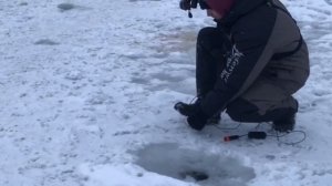 поимка форели