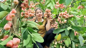 Собираю урожай ягод и несу их на рынок, чтобы продать и купить кроликов для разведения. Дуонг