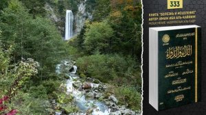 У человека две души | Болезнь и исцеление | №333