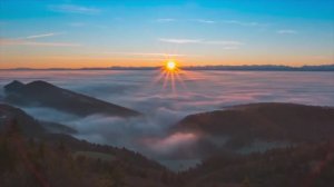 Новый формат блогерства, весна 2023