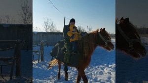 Лошадь. Год лошади. Лошадь 2026