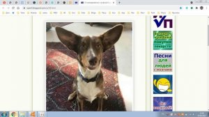 opsrif_Стих_058_Слушаю вас