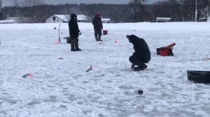 утренние поимки форели