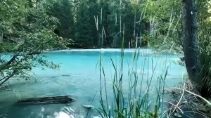 Эрнесто Кортазар лучшее