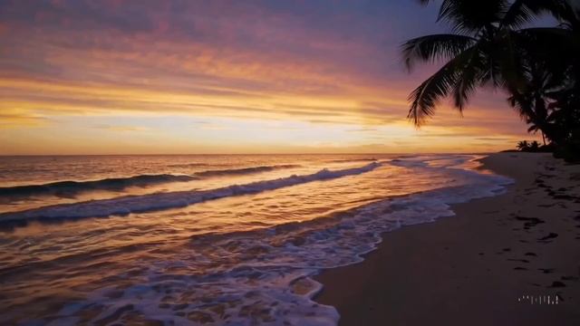 МИКС 2025🎧РУССКАЯ МУЗЫКА❤️ Russian Music🔥Russische Musik🎤 Танцевальная музыка MIX🥳 Новая музыка смотреть онлайн