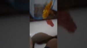 Асмр  слайм чеек