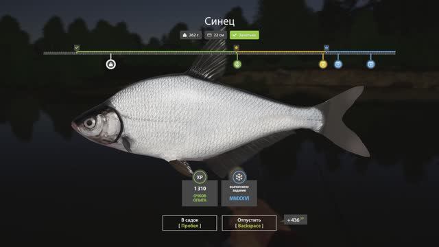 Русская рыбалка 4 Новогодние задания 2026 смотреть онлайн