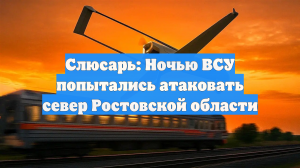 Слюсарь: Ночью ВСУ попытались атаковать север Ростовской области